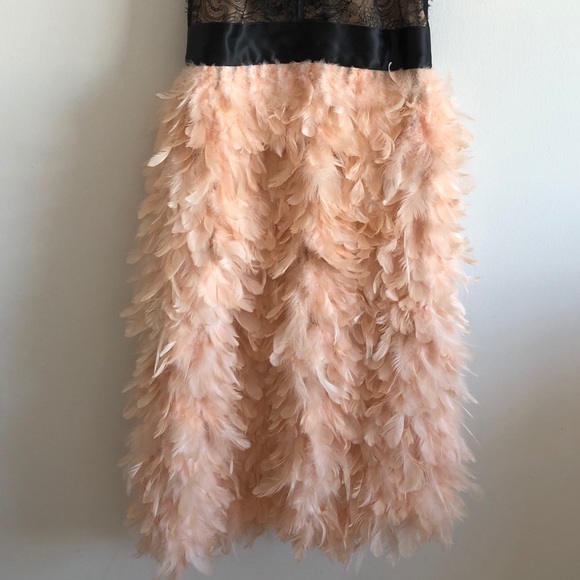 Marchesa Spring ‘16 Lace & Blush Feather Dress - Picture 8 of 16